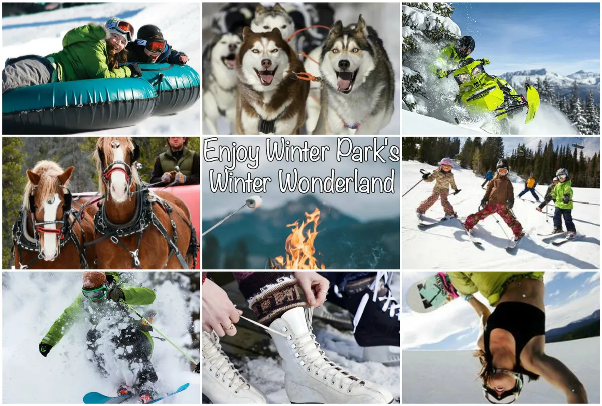 A lively winter scene featuring people tubing, a team of huskies for dog sledding, snowmobiling, a horse-drawn sleigh, and children playing in the snow. The atmosphere is festive and action-packed, highlighting a variety of winter activities beyond skiing.